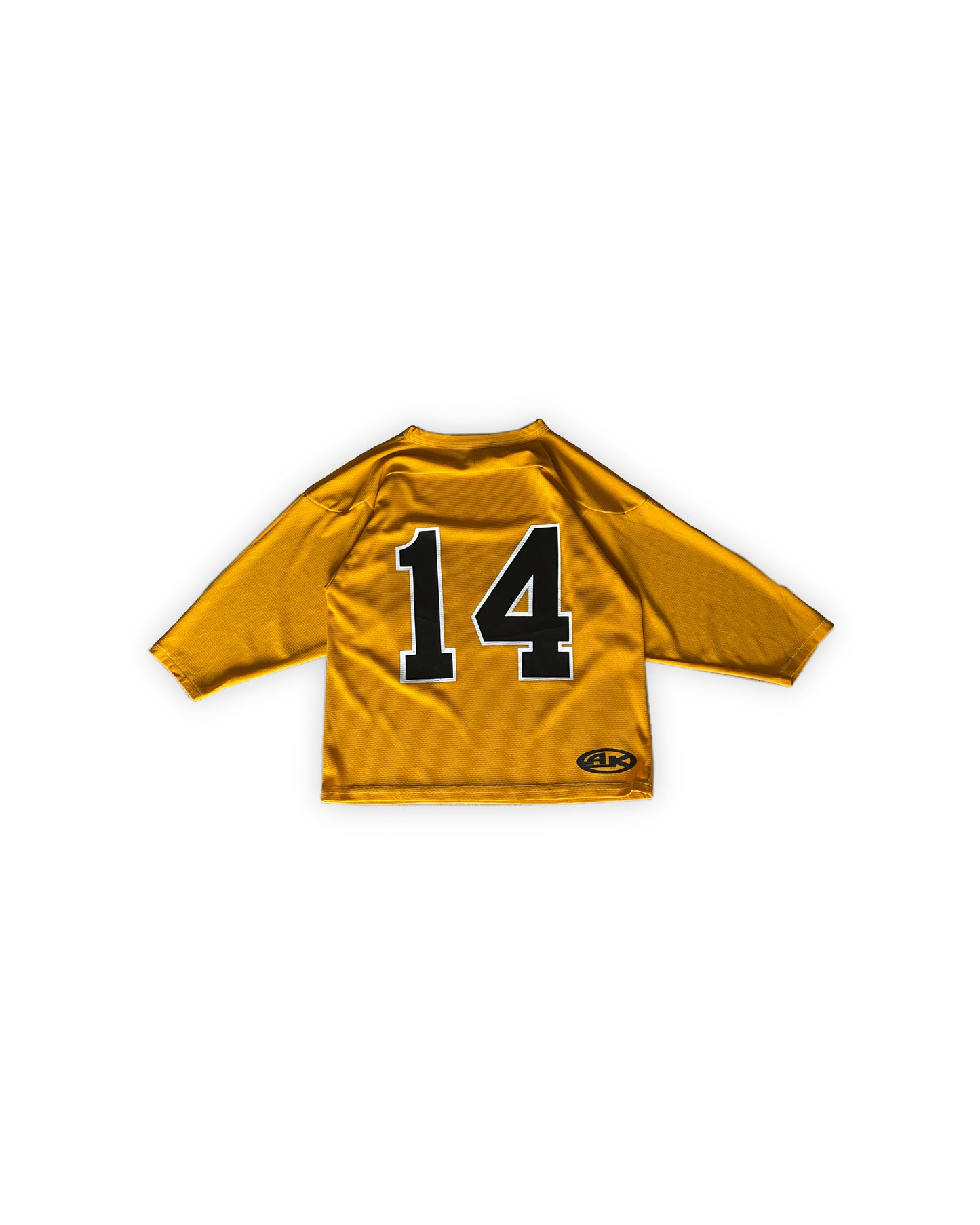 Vintage Troy Sting #14 NHL Jersey