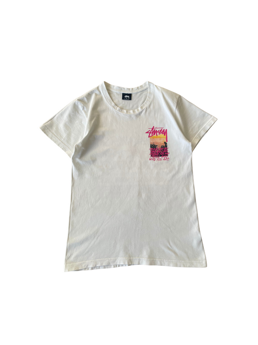 Stüssy Clear Day T-shirt