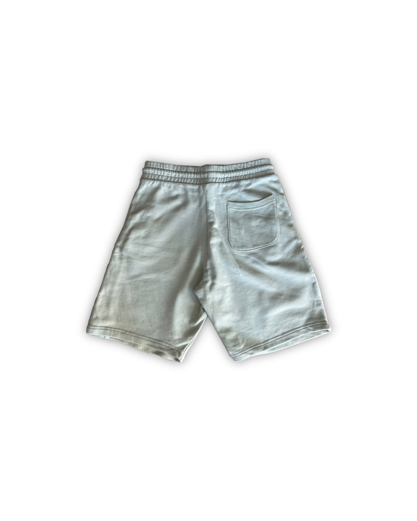 H&M Seafoam Sweatshorts