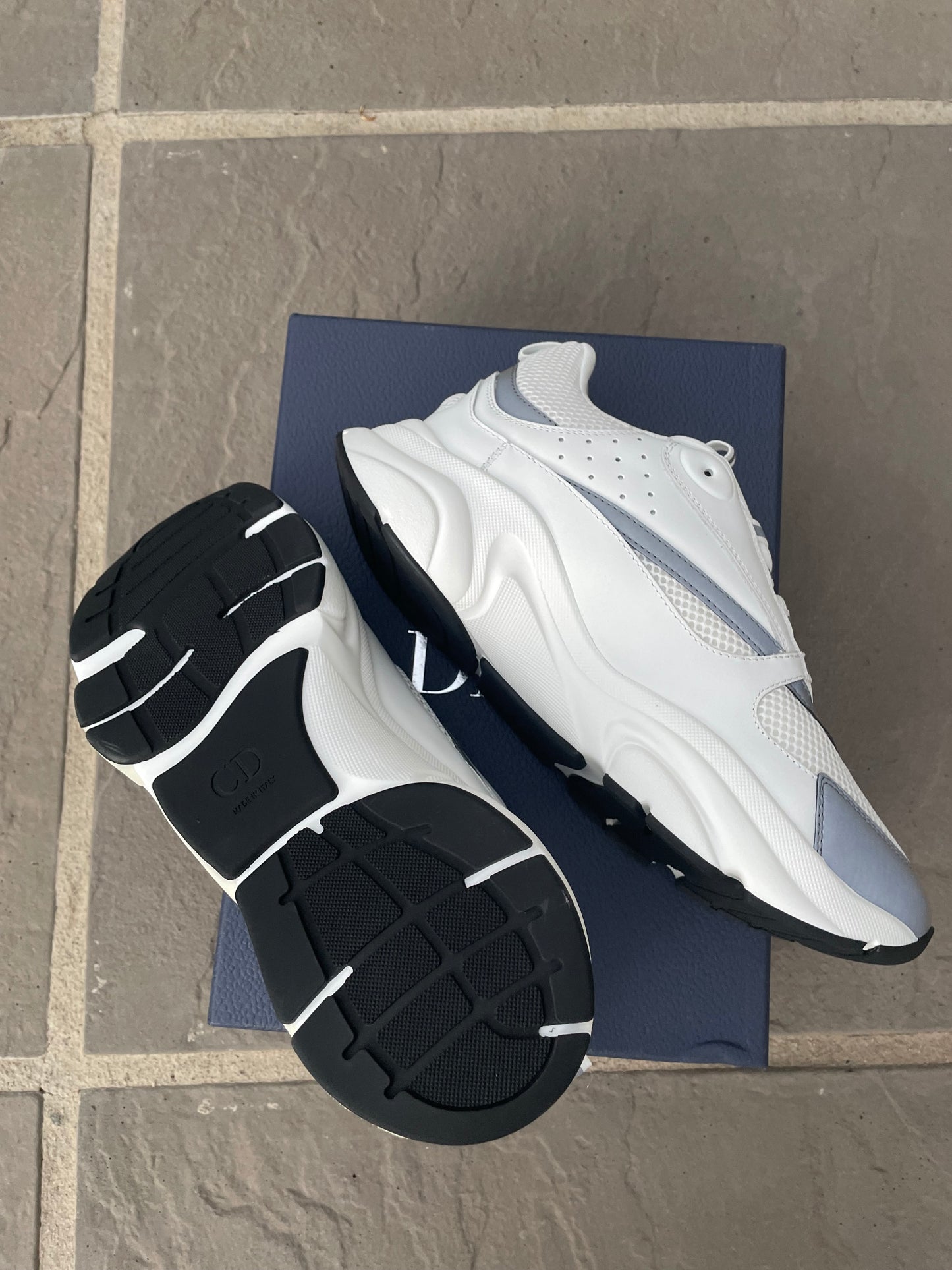 Dior B22 White Trainer