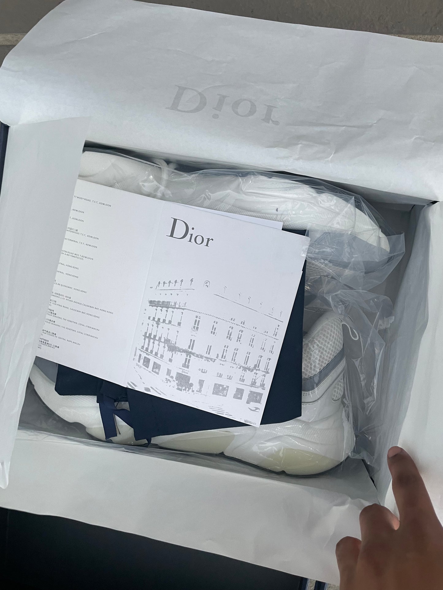 Dior B22 White Trainer